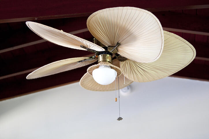 Tropical electric fan an ceiling